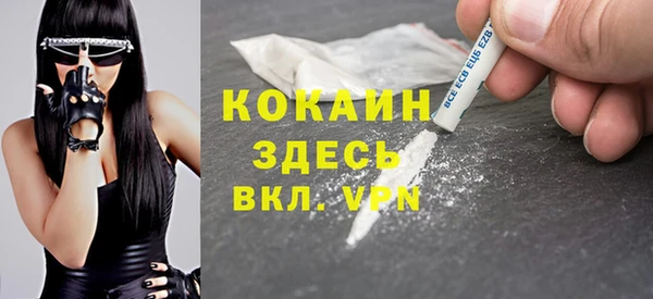 шишки Вязники