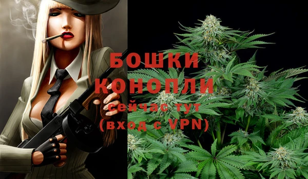 СК Верхний Тагил